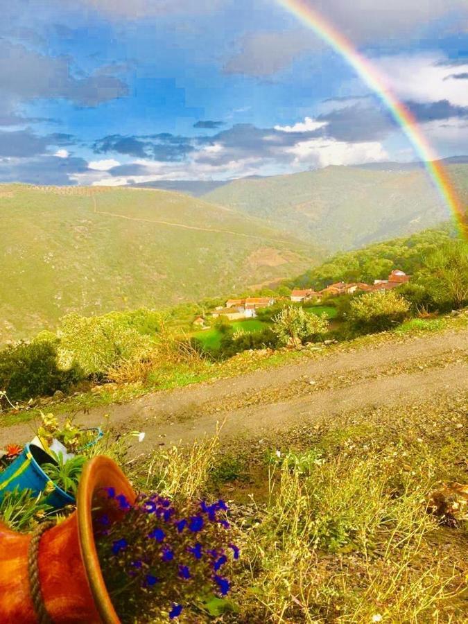 Mosteirinho Negreda Εξωτερικό φωτογραφία